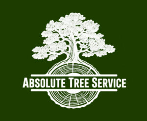 absolute tree service square logo copy