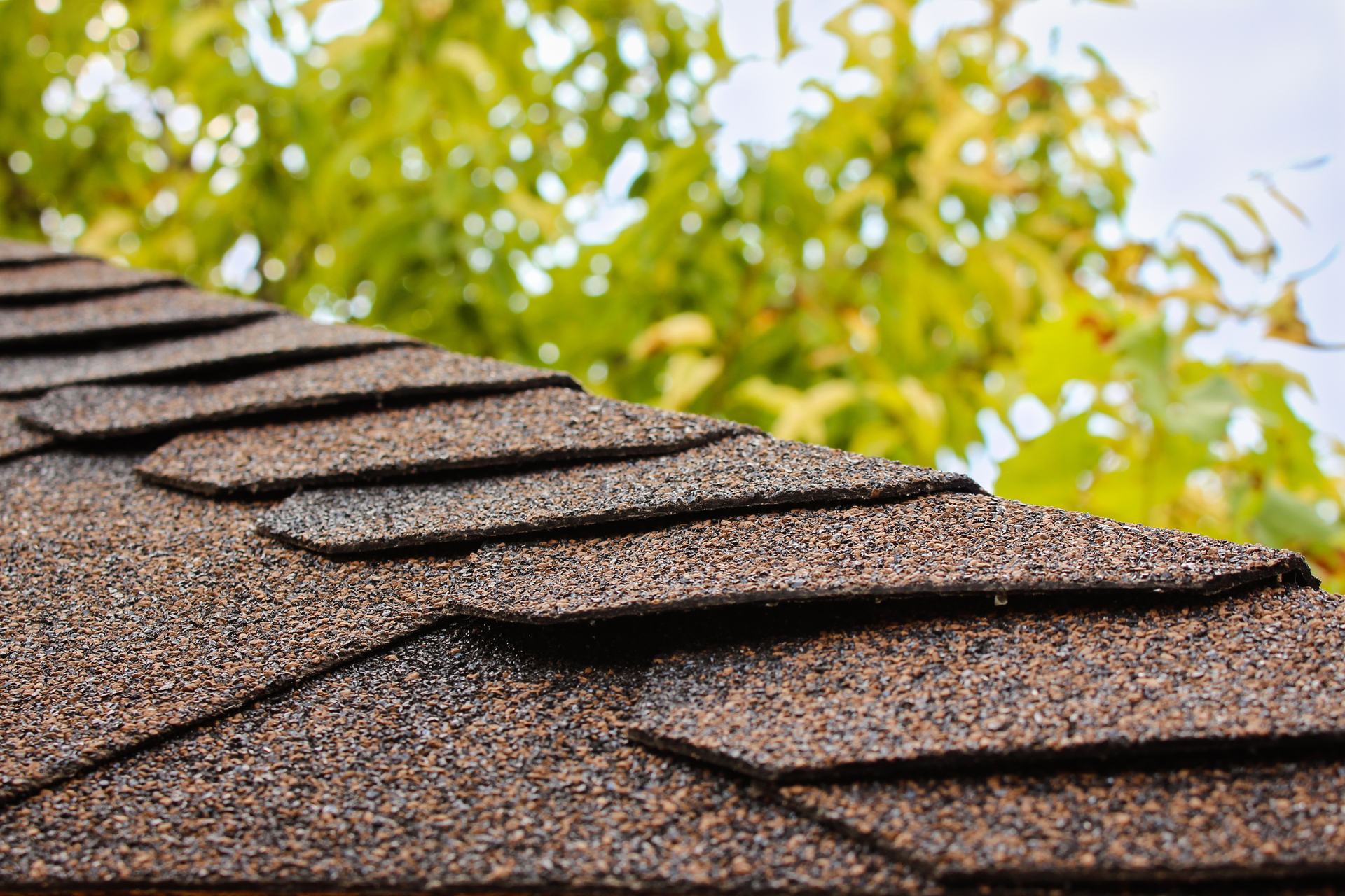 the roof of the house in the background of the sky