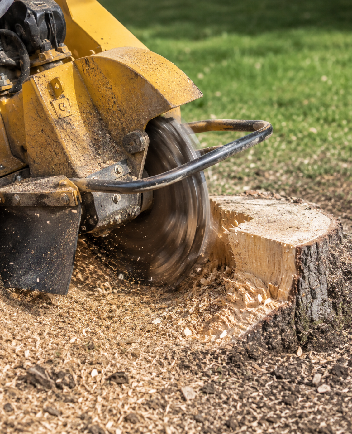 stump grinding